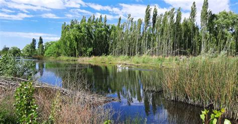 valle intimo neuquén